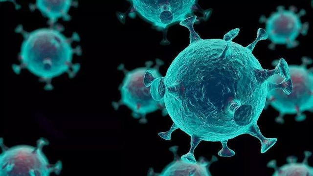 日本推出新冠病毒自动检测机 鼻拭子采样约80分钟出结果