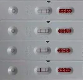 微信图片_20221205201808.jpg