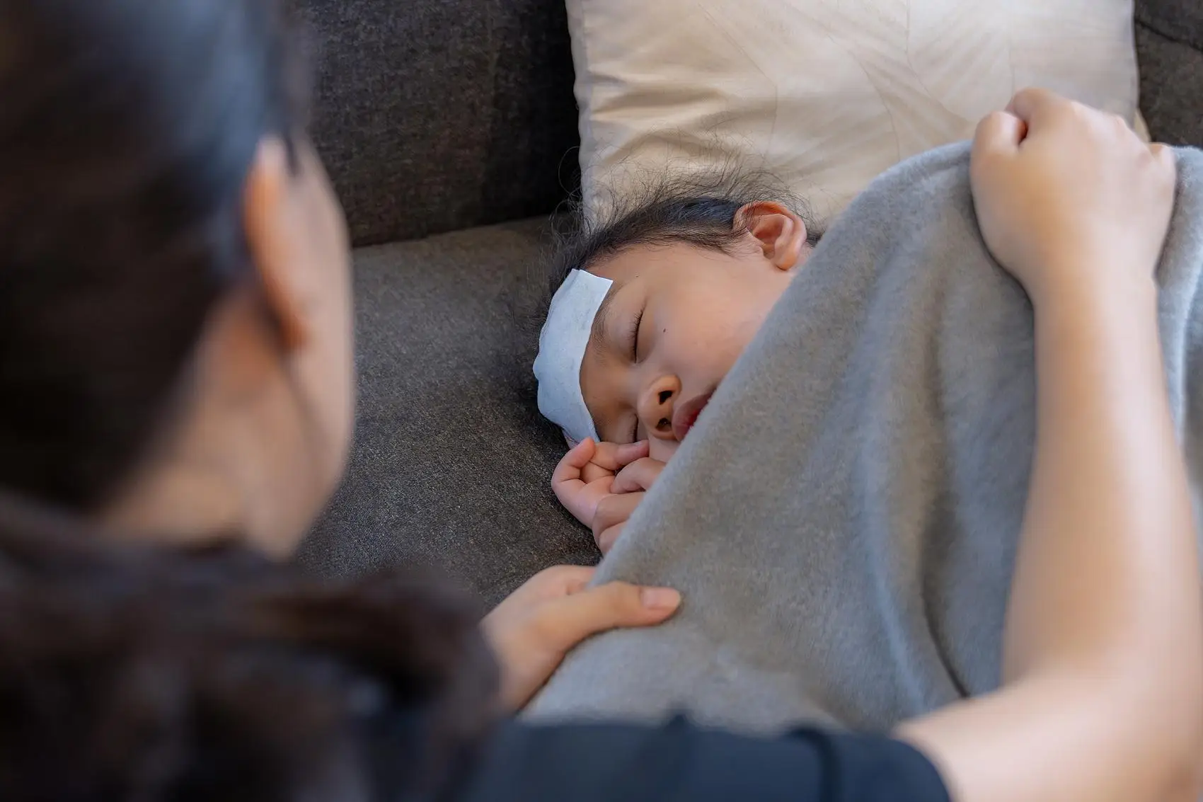 53796486_993e465a-3c8a-4641-ba06-868d812b5ceb (1).jpg