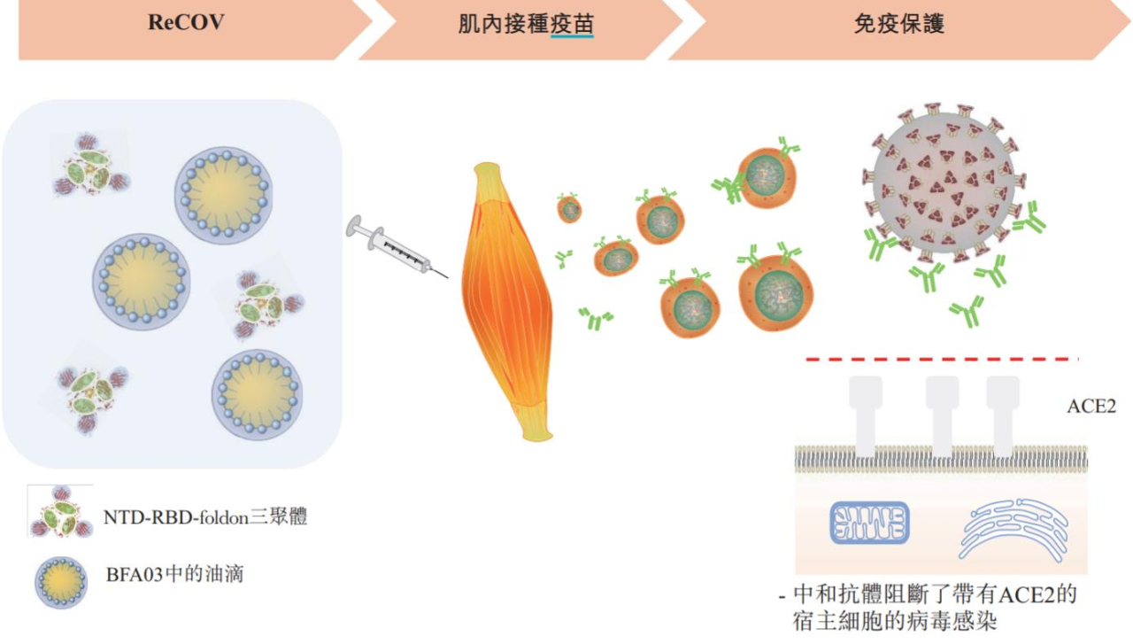 疫苗医学