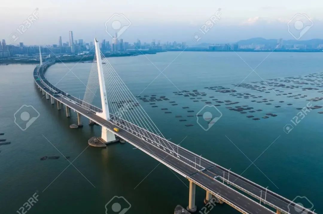 粤港澳大湾区公共卫生体系建设的现状及思考