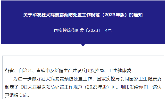 动态资讯