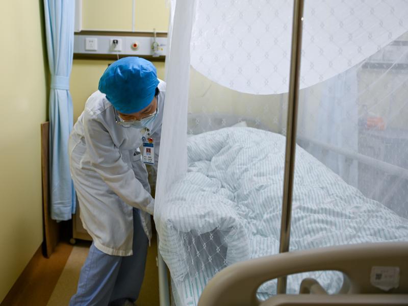 基孔肯雅热患者可以拒绝进行防蚊隔离吗？广东省疾控局解读“两热”防控规定